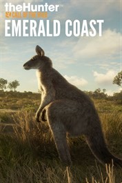 TheHunter: Call of the Wild - Emerald Coast Australia - De la baston avec des kangourous